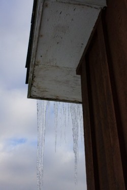 icicles