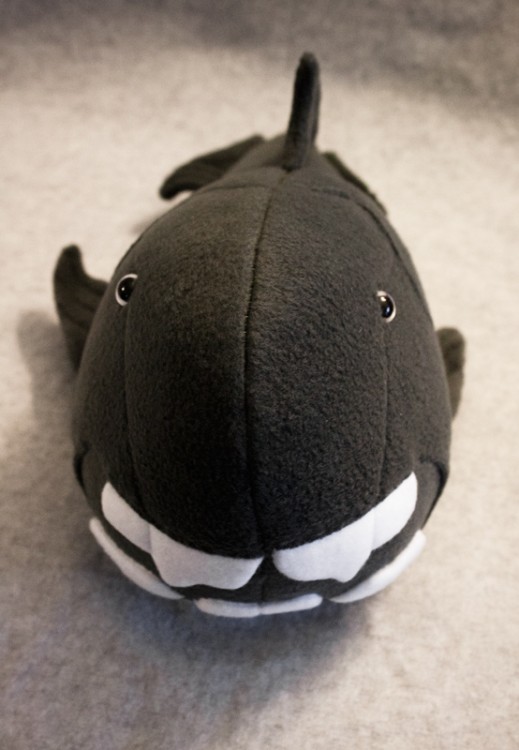 dunkleosteus (prehistoric fish) handmade plush, goofy smile and all