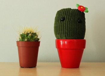 cactus friends