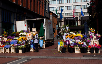 flower vendors in dublin flower vendors in dublin