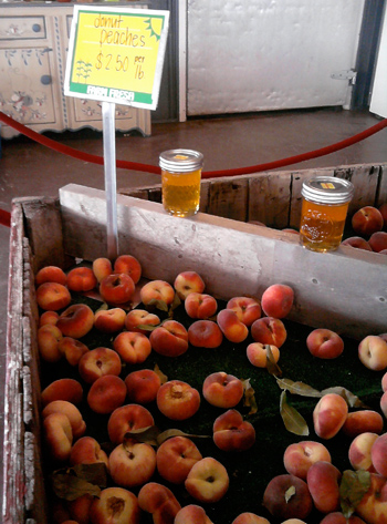 donut peaches at the peach festival (day 16 of the 30 day photo challenge: what i ate)
