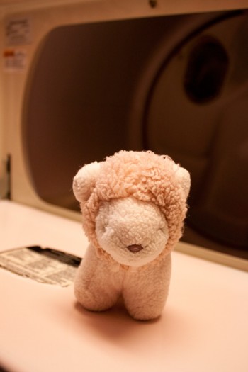 loana the lion and her fateful bath (day 7 of the 30 day photo challenge: a childhood memory)