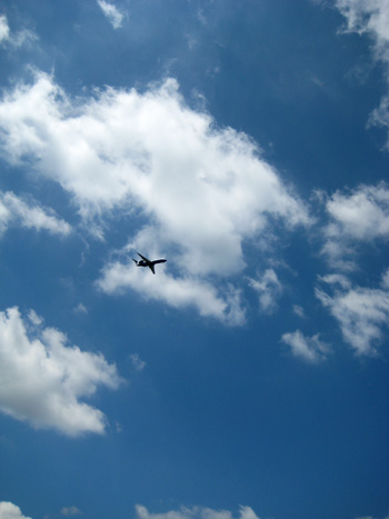united airplane in flight.. the friendly skies united airplane in flight.. the friendly skies