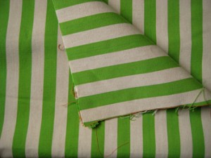 green stripe canvas