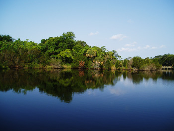 kiawah island