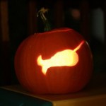 narwhal pumpkin by Joshua