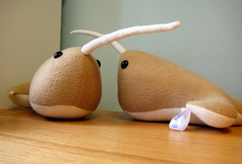 i can't say they're not cute i can't say they're not cute