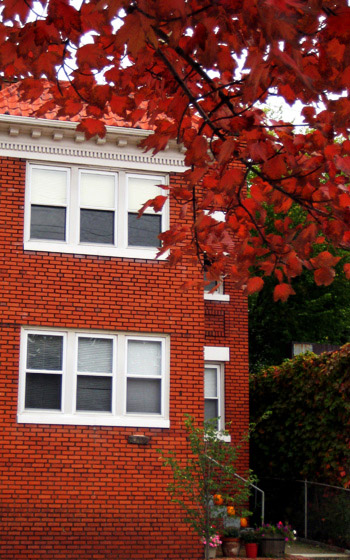 red brick leaves
