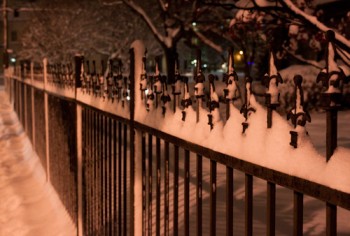 snowy gate