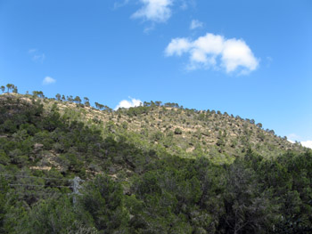 spanish countryside