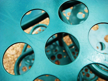 turquoise circles playground ladder