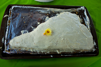 a cake in the shape of virginia a cake in the shape of virginia