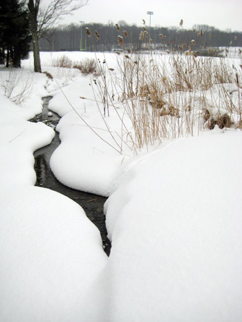 winter and its wisdom